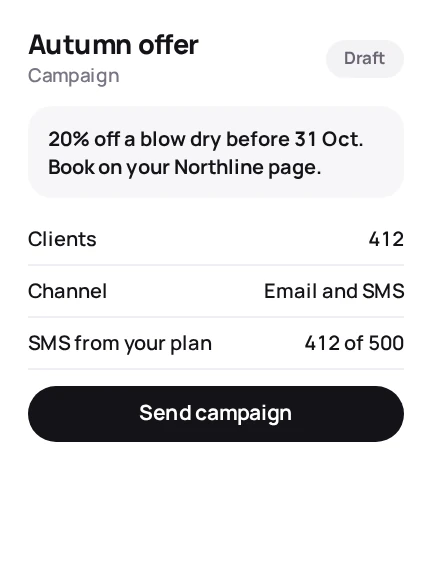 A campaign ready to send, with the audience count and SMS used.
